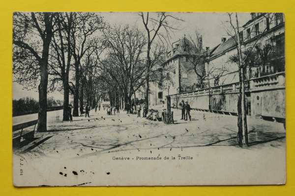 Ansichtskarte AK Genf / Treille Promenade / 1902 / Straßenansicht – Gebäude